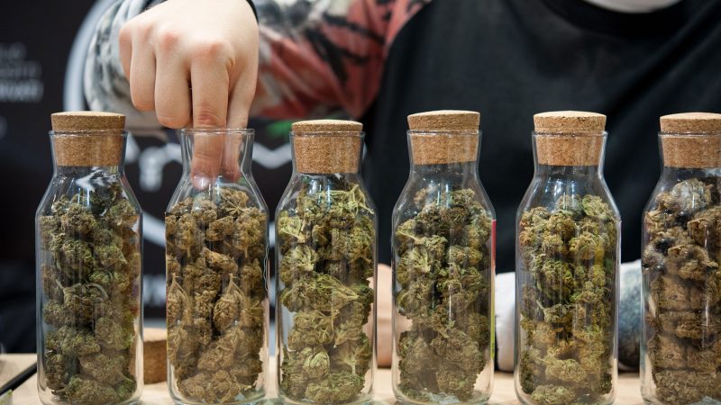 Where To Buy High-Grade Recreational Marijuana In AZ?